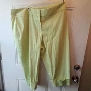 Fashion Bug Women's Stretch Pants